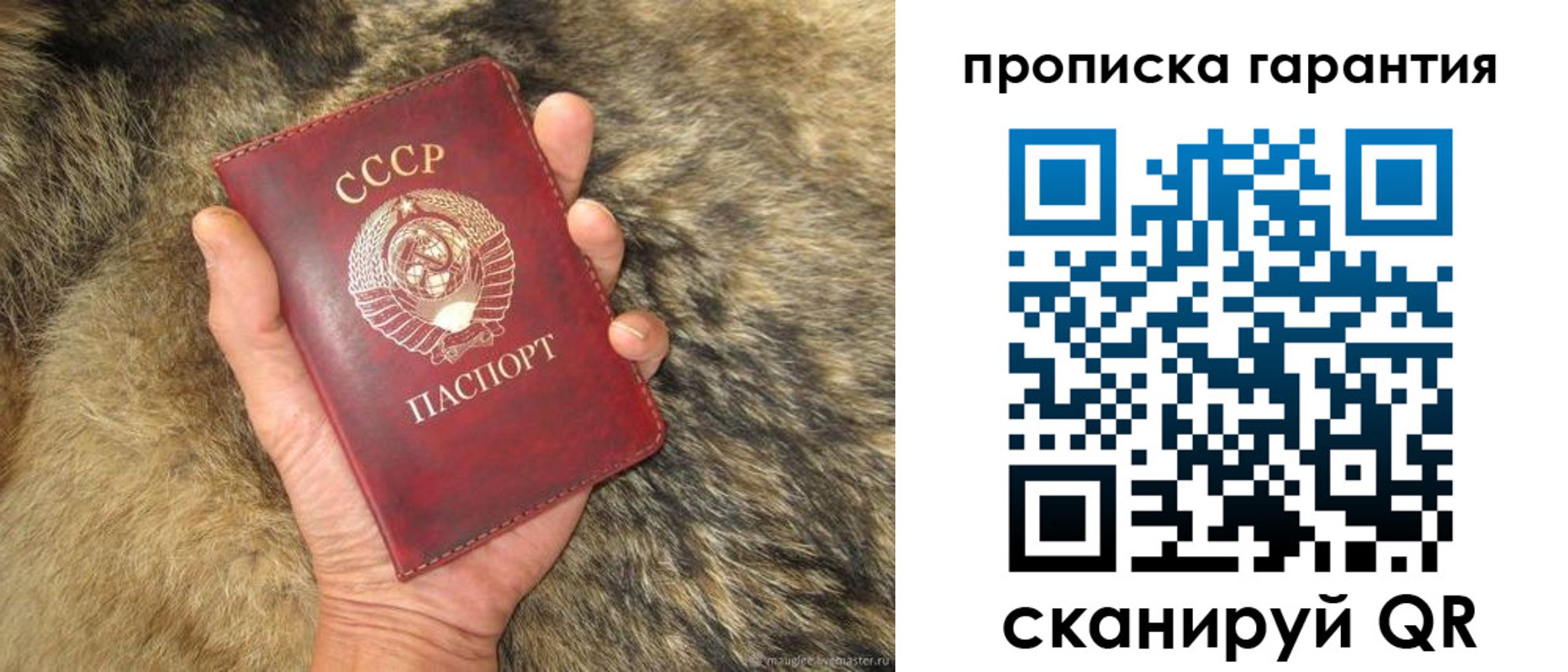 прописка паспорт в Лузе